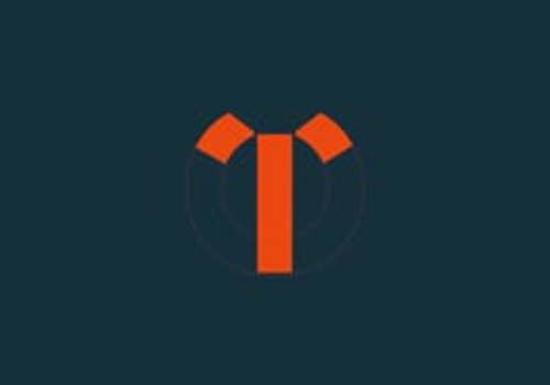 Branding Package Example: TD Energo Branding