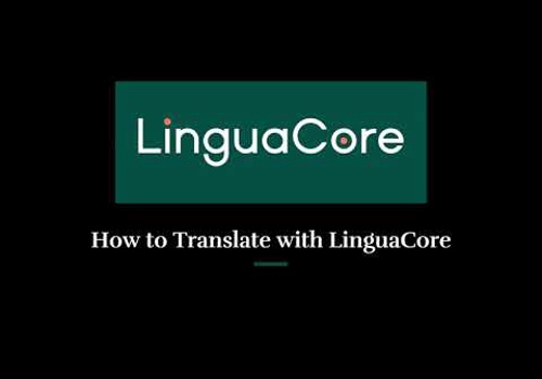 Web Development Package Example: Translation Agent + Website