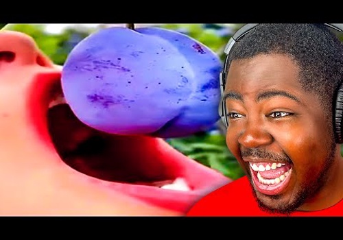 Video Production Package Example: 1 Hour of MEMES that make the boys happy