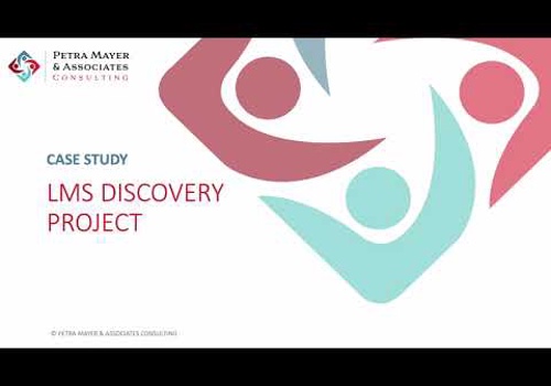 Business Consulting Package Example: LMS Discovery Project