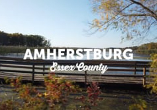 Video Production Package Example: Next Stop Taste - SWOTC