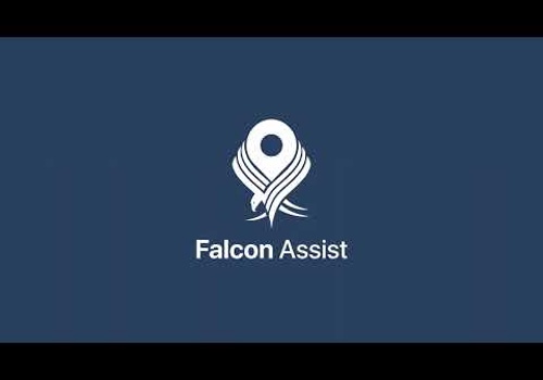 AI Consulting Package Example: Falcon Assist AI Reporting System