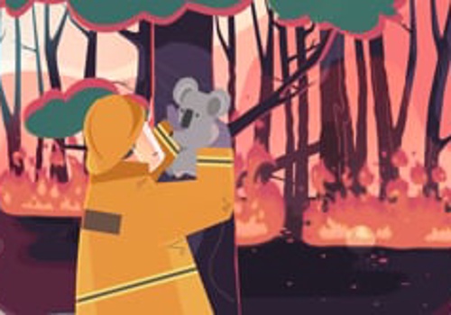 Video Production Package Example: ADS Green - Solar panels