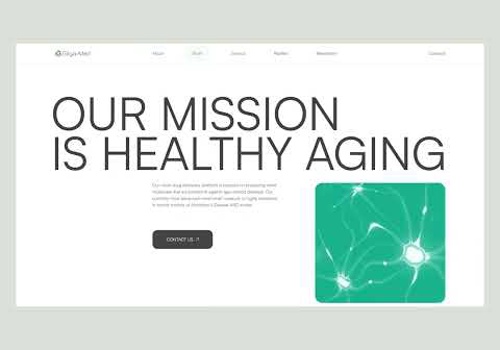 Web Design Package Example: Gilga-Med Website