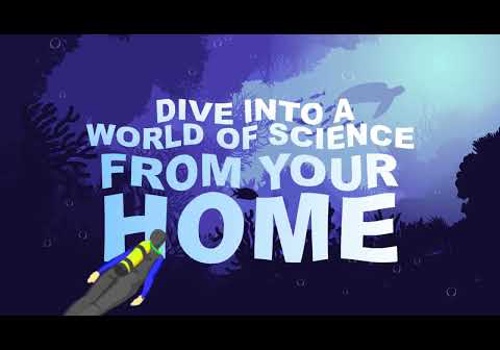 Custom Software Development Package Example: Coral detection platform