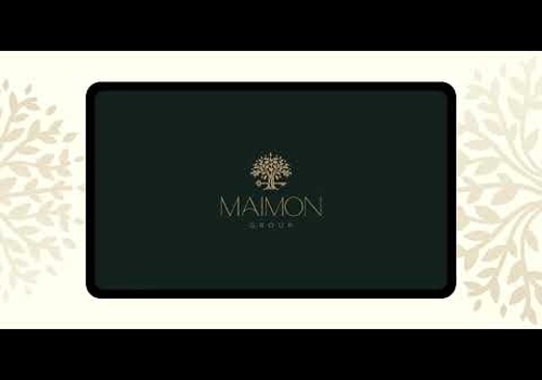 Web Design Package Example: Maimon Group