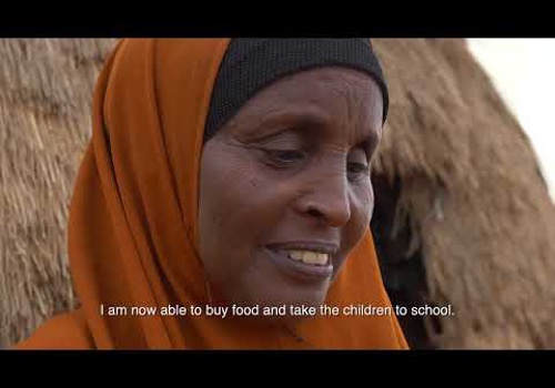 Video Production Package Example: ECHO Cash Transfer