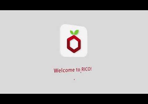 IT Staff Augmentation Package Example: RICO - MVP for Nutrition App