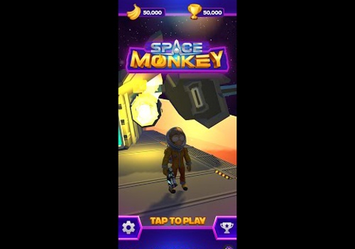 Custom Software Development Package Example: Space Monkey