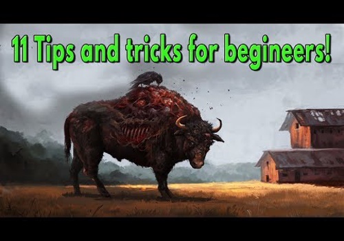 Video Production Package Example: 11 Tips and tricks for Last day on earth Survival