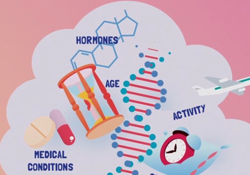 Branding Package Example: Medi Diet explainer corporate video