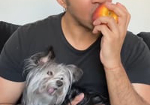 Video Production Package Example: Chewy - TikTok Ads