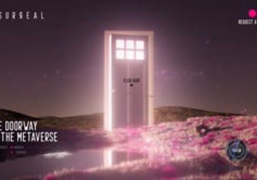 Video Production Package Example: Surreal Website 3D content