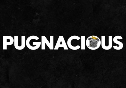 Web Development Package Example: Pugnacious