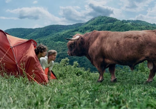 Advertising Package Example: ANWB: Vakantie