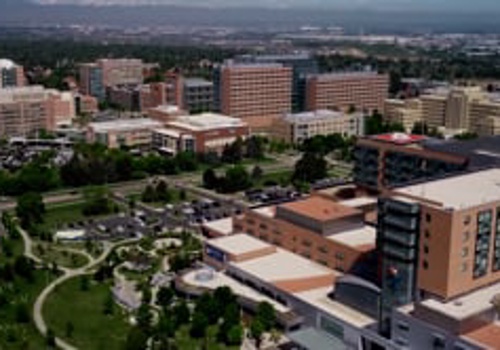 Video Production Package Example: Research Anthem