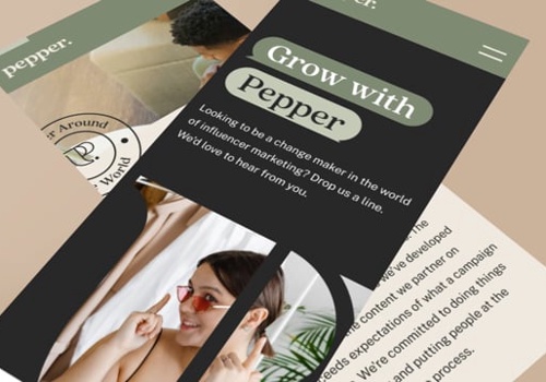 Branding Package Example: Pepper