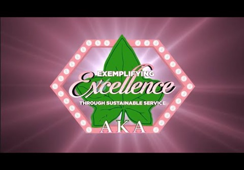 Video Production Package Example: Excellence AKA