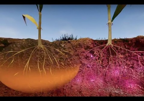 AR/VR Development Package Example: VR || SIMULATION FOR SYNGENTA