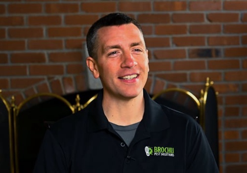 Video Production Package Example: Brochu Pest Solutions - Social Media Marketing