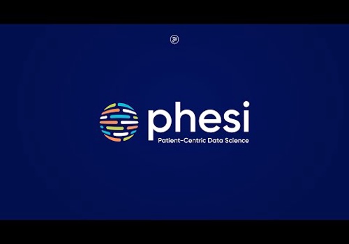 Web Design Package Example: Phesi Web Design & Development