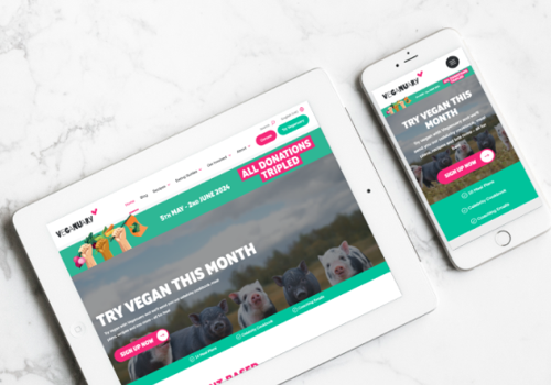 Web Development Package Example: Veganuary