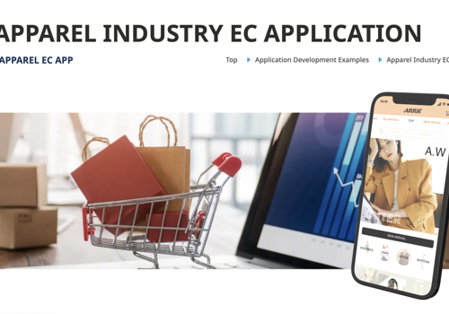 Custom Software Development Package Example: Apparel Industry EC Application