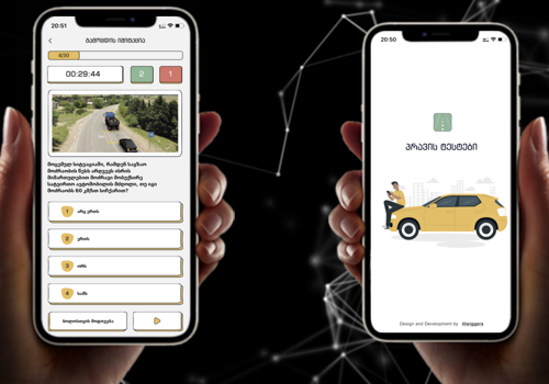Mobile App Development Package Example: Pravis Testebi