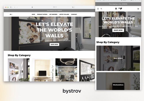 E-Commerce Development Package Example: Shopify Business Development