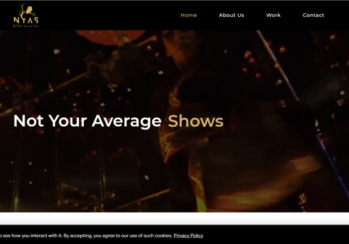 Web Development Package Example: Website Design of Not Your Average Swan