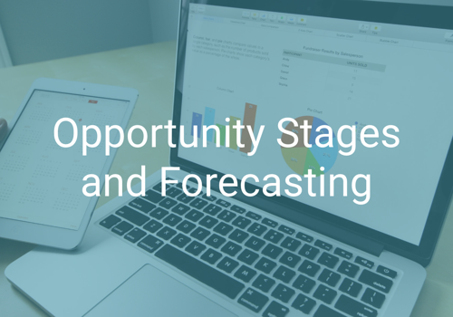 CRM Consulting and SI Package Example: Opportunity Stages and Forecasting Optimization