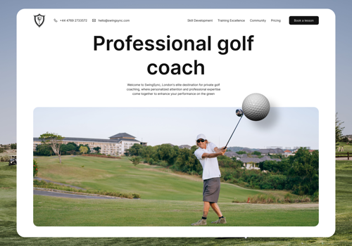 Search Engine Optimization Package Example: Web redesign and SEO for modular painting business