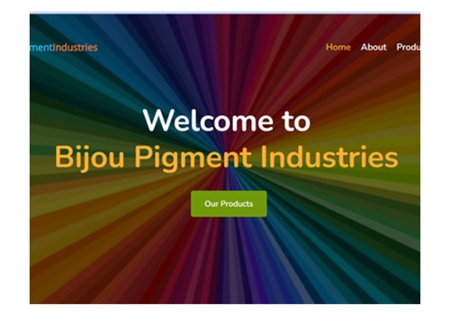 Custom Software Development Package Example: Bijou Pigment