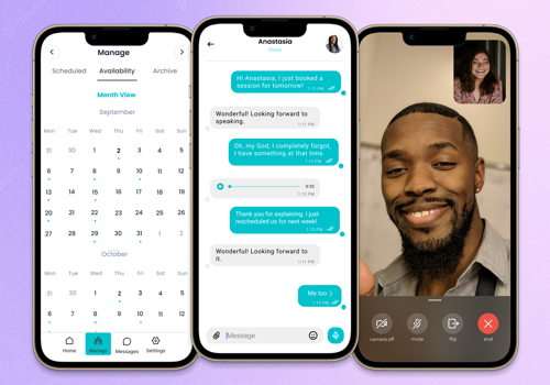 Mobile App Development Package Example: Zant