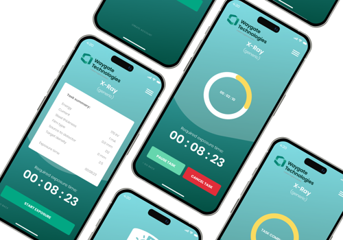 IT Staff Augmentation Package Example: Industrial Film Exposure Calculator