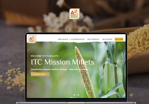 Web Development Package Example: ITC Millets