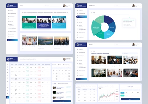 Branding Package Example: ESG Dashboard Design