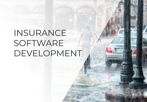 Custom Software Development Package Example: Insurance Software Development