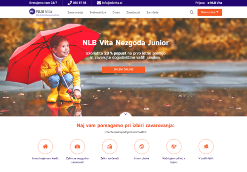 Custom Software Development Package Example: Online insurance portal