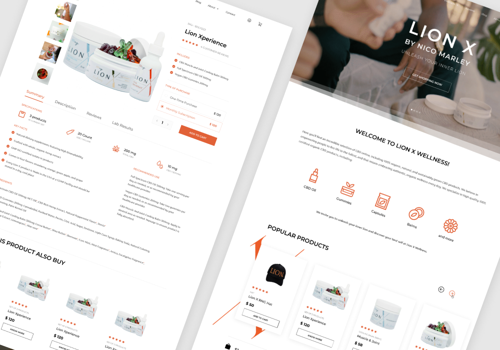 Web Development Package Example: LionX Shopify Website