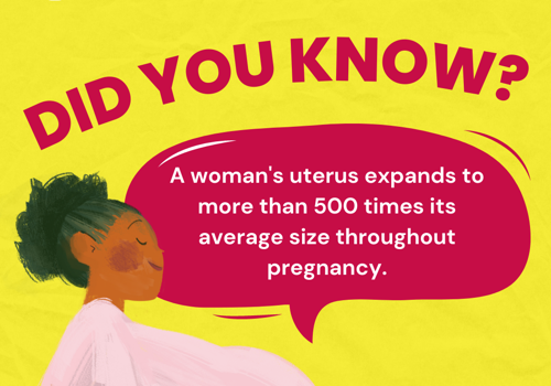 Social Media Marketing Package Example: Content creation for social media