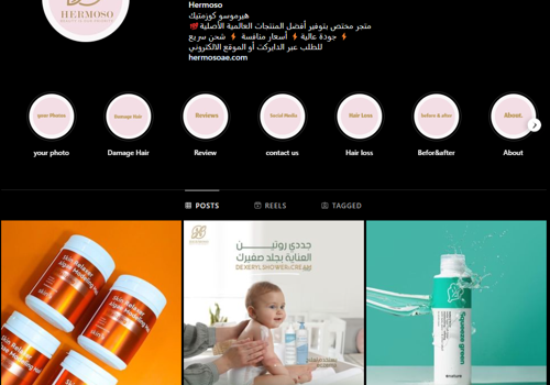 Branding Package Example: Instagram Growth & Website Creation