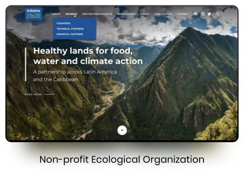 Web Design Package Example: Initiative 20x20