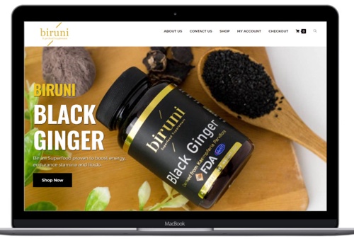 Web Design Package Example: Building and E-Commerce for Local Biruni Website