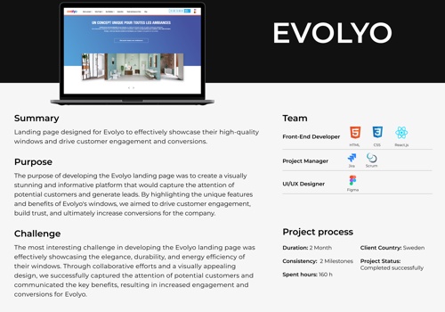Web Design Package Example: Evolyo
