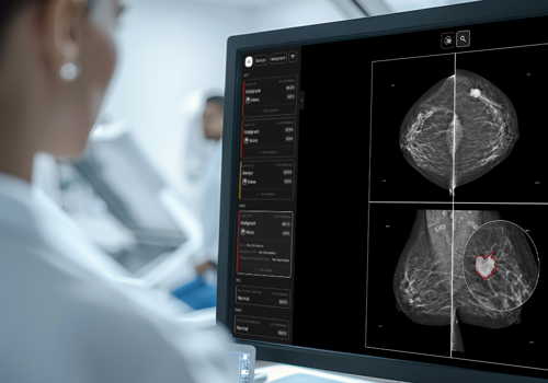 AI Consulting Package Example: MedAI Platform