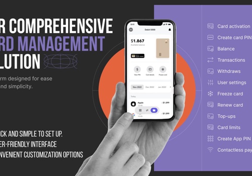 Graphic Design Package Example: Software startup in the card management industry