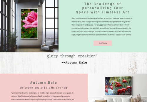 Search Engine Optimization Package Example: Shopify Ecommerce Site