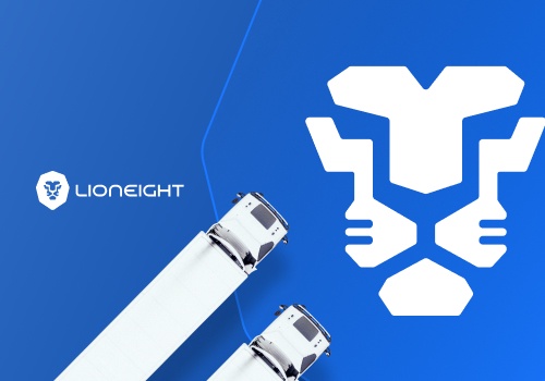 Web Design Package Example: LionEight - Website Design & Development