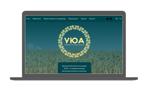 Web Design Package Example: Website development for the NGO